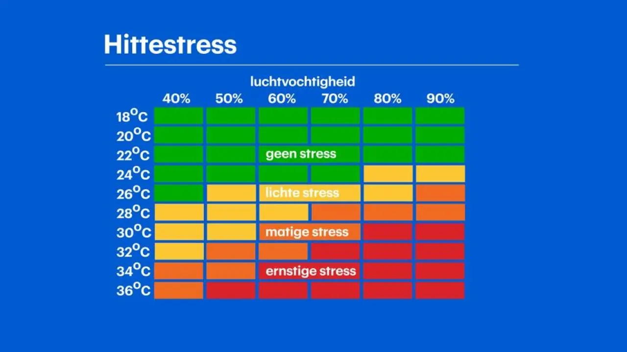 hittestress.jpg